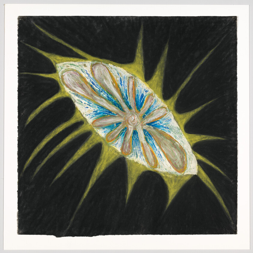 A colorful abstract drawing featuring a central organic shape with radiating patterns in blue, white, and hints of red, set against a dark background with shadowy, leaf-like shapes extending outward.