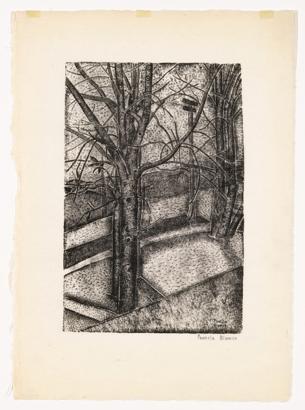 Leafless trees stand along a winding path in a black-and-white etching-style landscape.