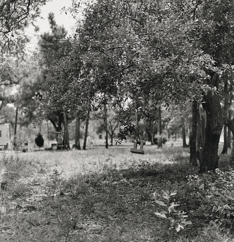 A black and white photo of a swing hanging from a tree in a tranquil, leafy park.