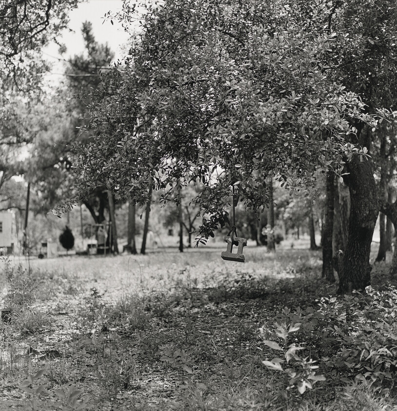 A small wooden swing hangs empty from a low tree branch in a grassy yard.