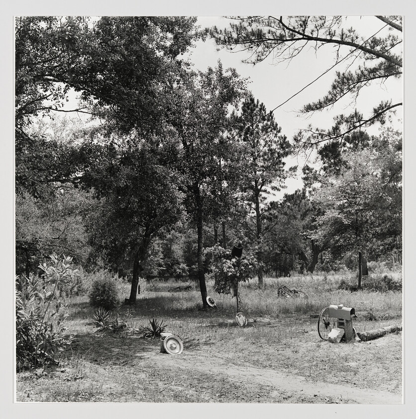 Yard with trees and several car hubcaps scattered on the grass near an old hand pump.
