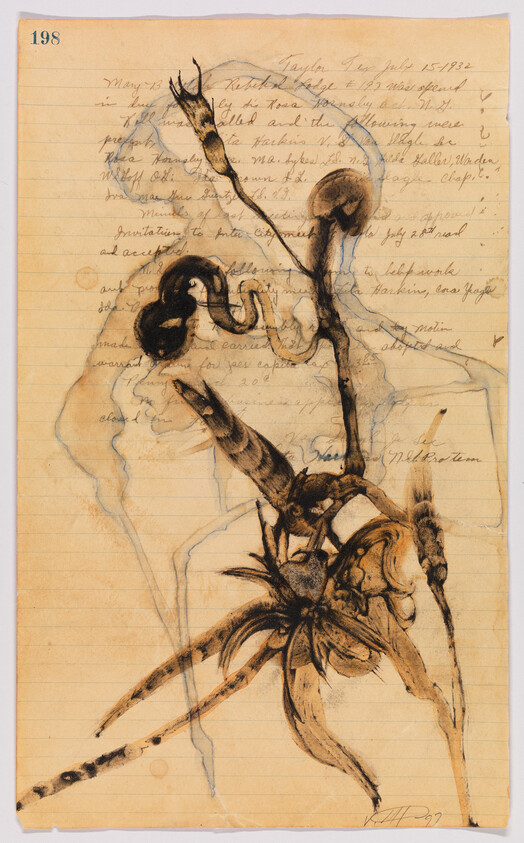 Ink and watercolor botanical sketch showing twisting stems and seed pods on lined notebook paper.