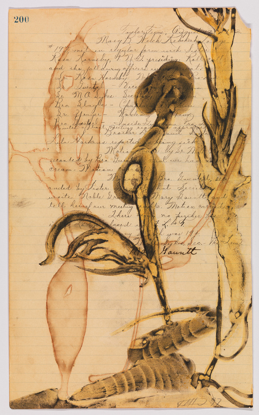 An aged, lined notebook page with handwritten text and a water-stained drawing of a plant. The drawing features a bulbous root, a slender stem, and detailed leaves, with a dark, ink-like blotch obscuring part of the plant. The page is numbered 200 at the top and exhibits various shades of brown and yellow, suggesting age and wear.