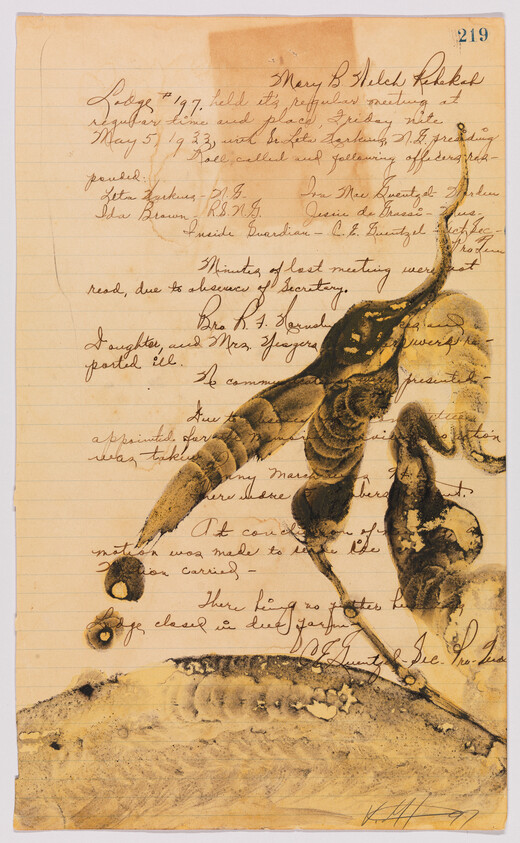 Large sepia insect illustration over a handwritten ledger page with cursive notes.