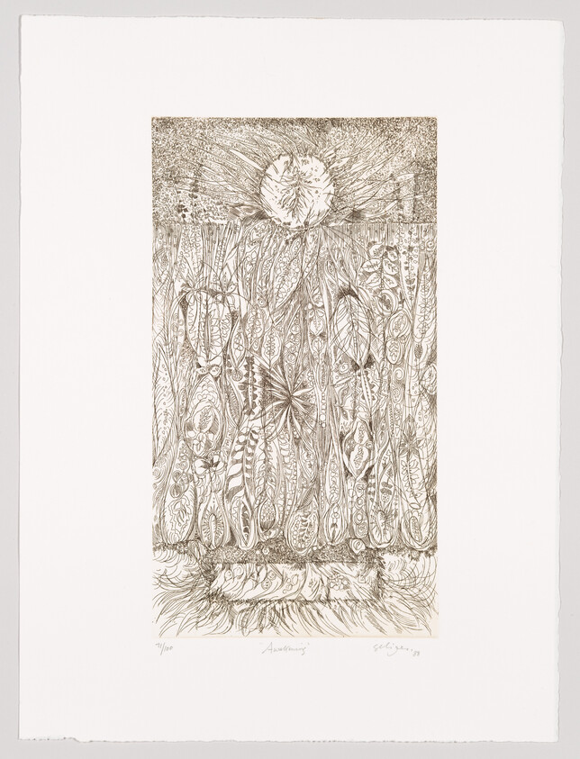 Tall, detailed plants and leaves rise toward a bright sun above in a fine line etching.