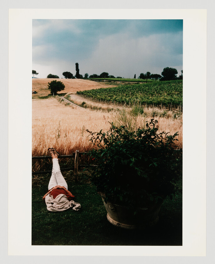 Person lying on grass with legs propped on a fence, looking toward golden fields.