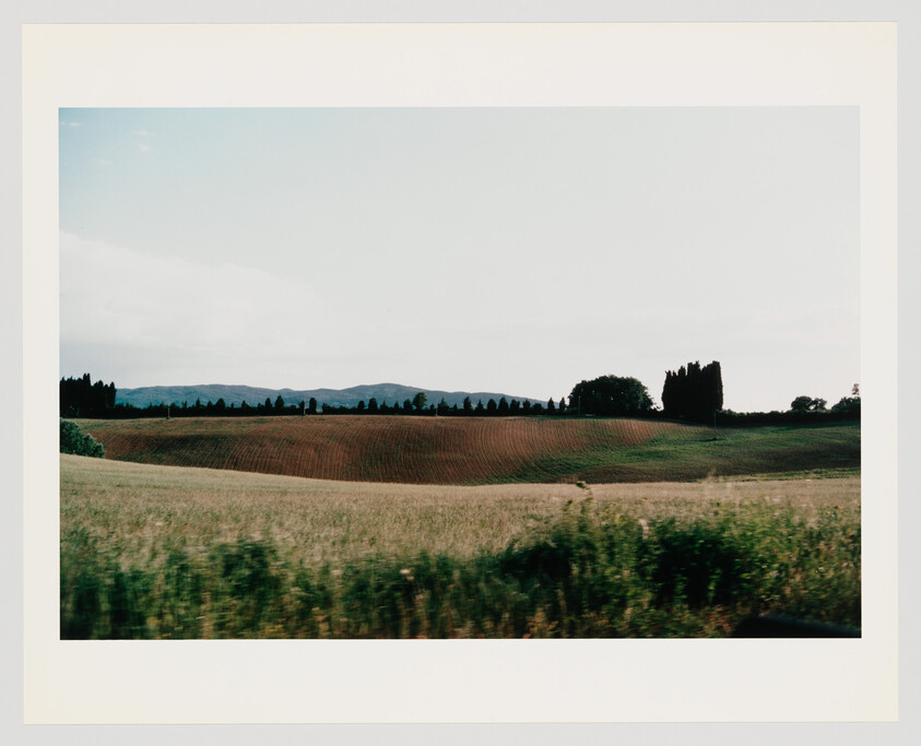 Rolling farmland with grassy foreground, plowed fields, a line of trees, and distant hills.