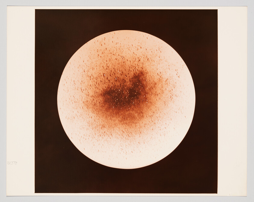 Large pale circular disk speckled with a darker brown center against a dark square background.