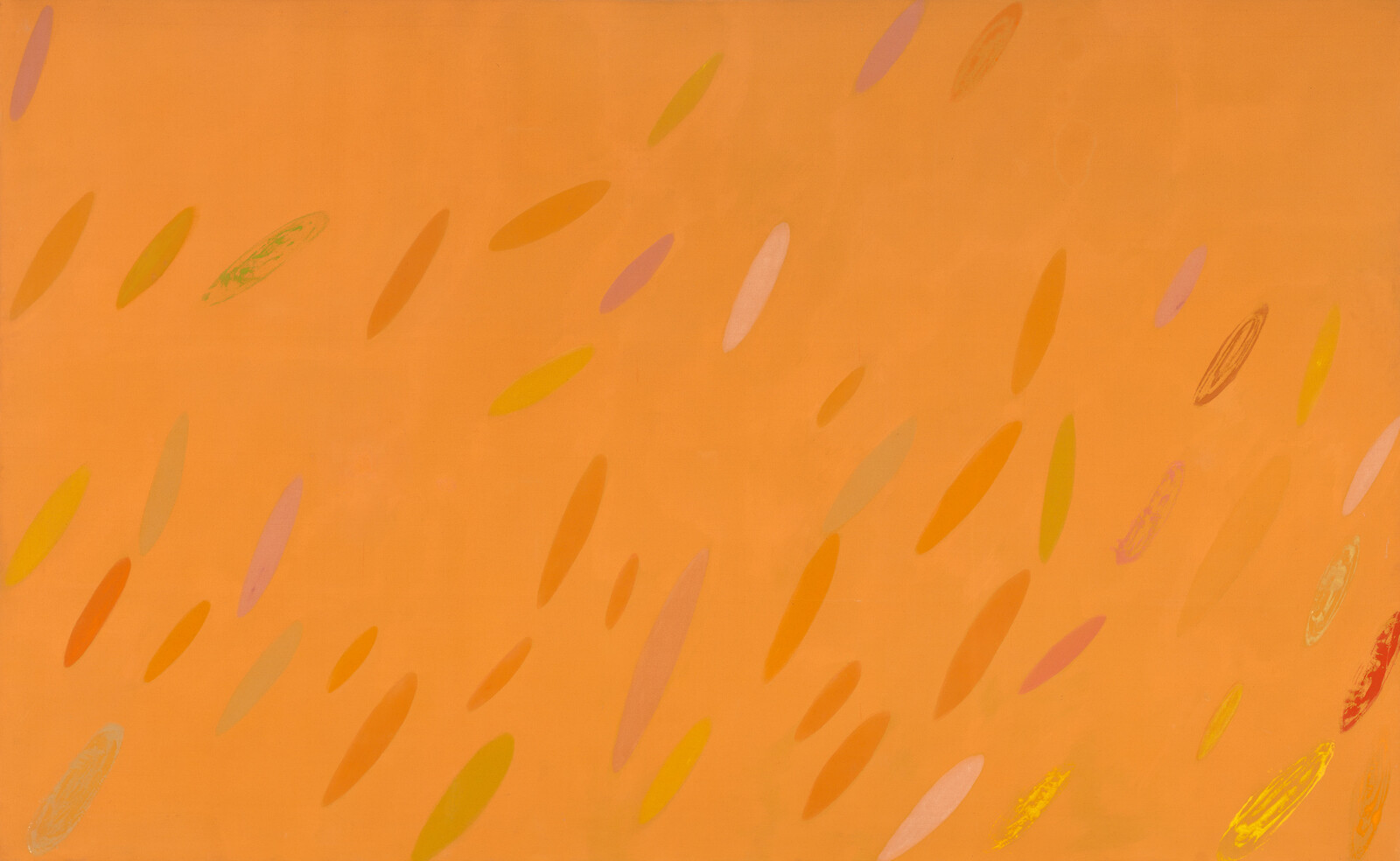Orange background with scattered elongated oval shapes in yellow, pink, green, and red.