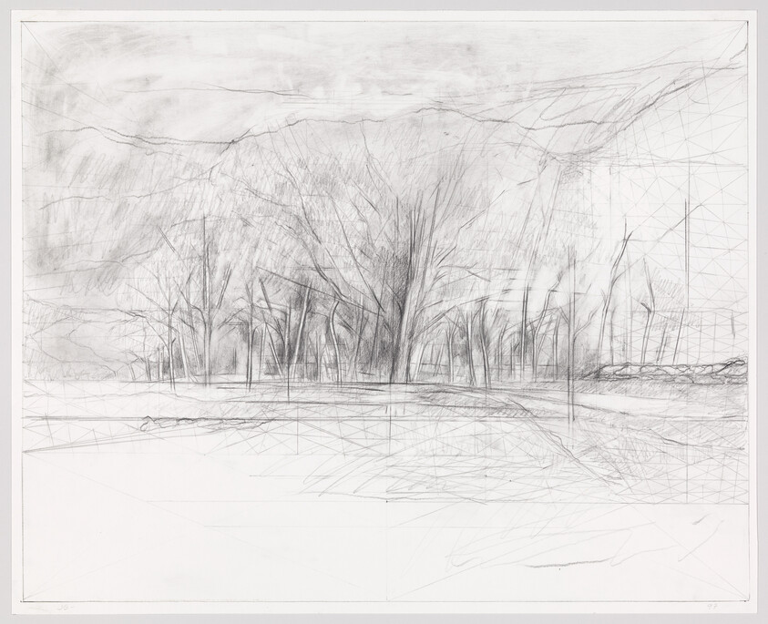 A pencil sketch of bare trees along a shoreline with faint grid lines and reflections.