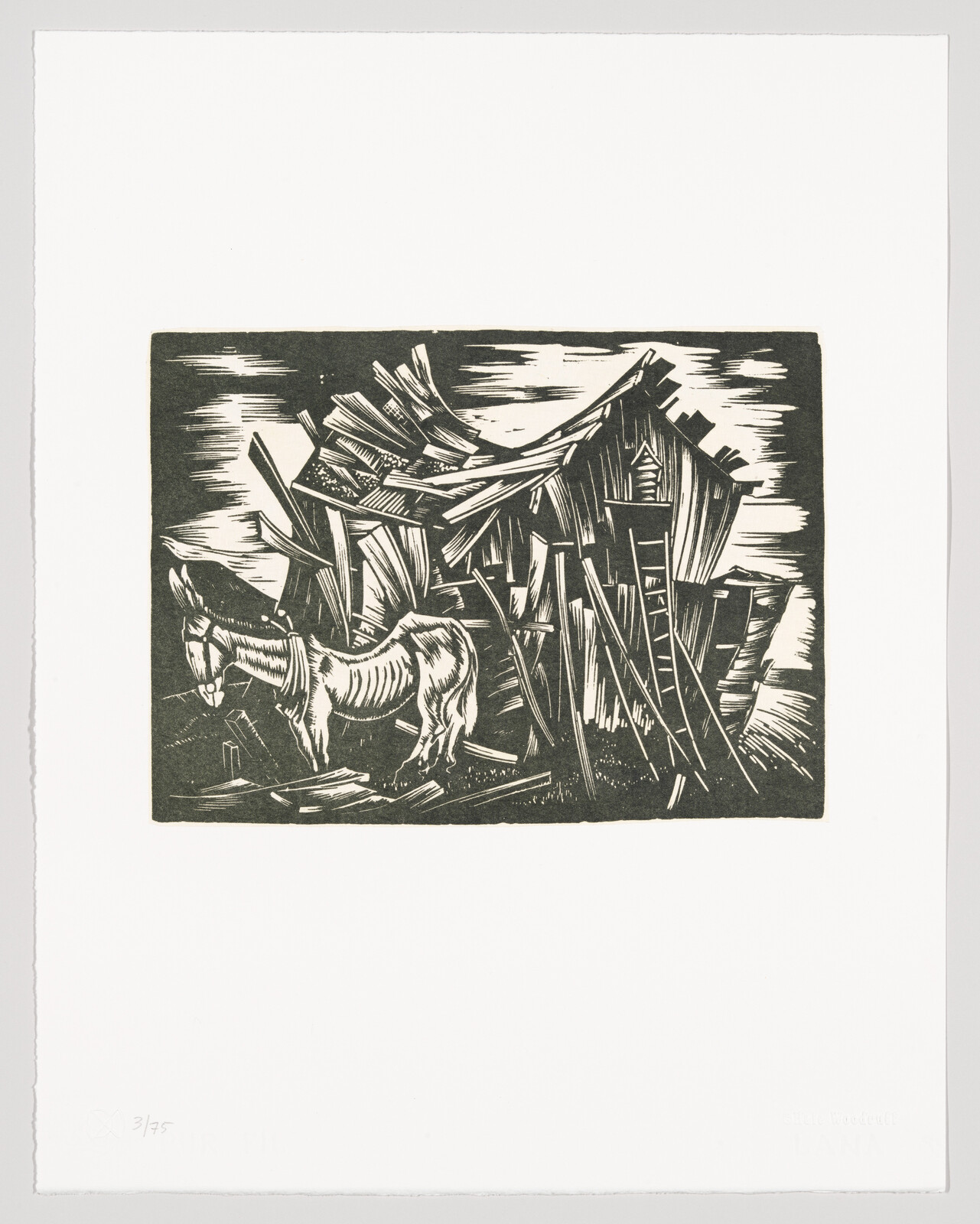 A thin donkey stands beside a collapsing wooden shack in a stark black-and-white print.