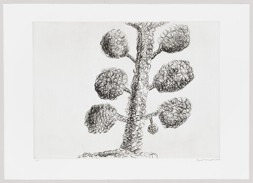 A black ink drawing of a tree with circular scribbled foliage and a small hanging fruit.