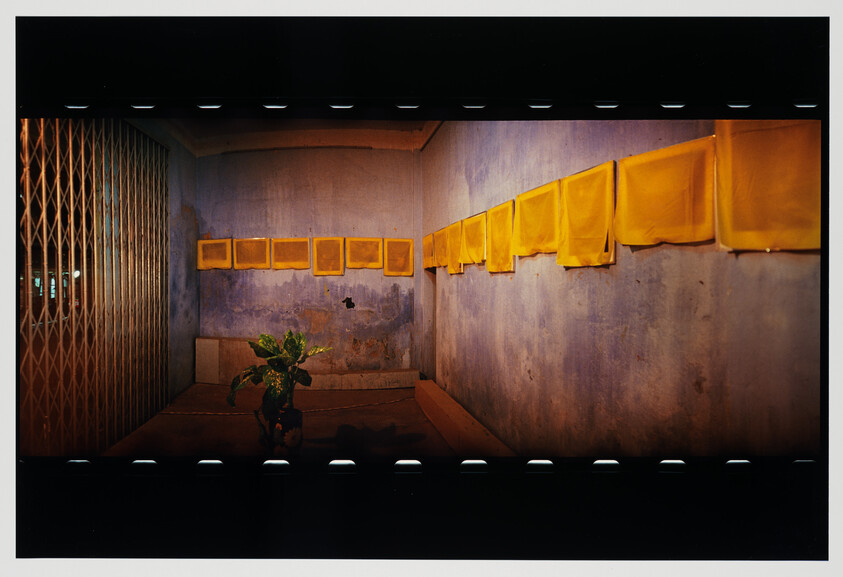 Small dim room with yellow cloth-covered frames along the walls and a potted plant in center.
