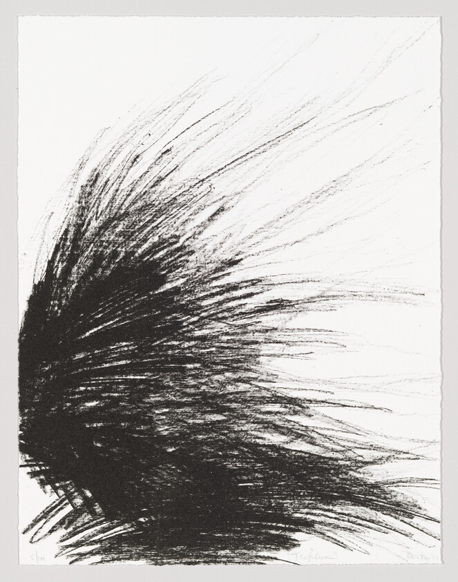 Dense black brush strokes radiate outward like windblown grass across a white background.