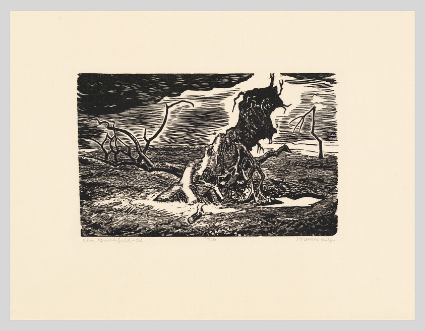 Gnarled tree stump with twisted roots and broken branches in a stark, windswept landscape.