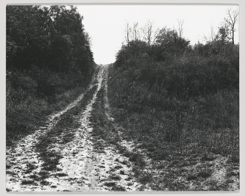 A rutted dirt path climbs a small hill between dense trees and grassy brush.