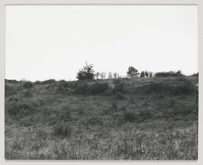 Black and white photograph of a grassy hill with sparse vegetation and a few small trees or shrubs at the crest against a clear sky.