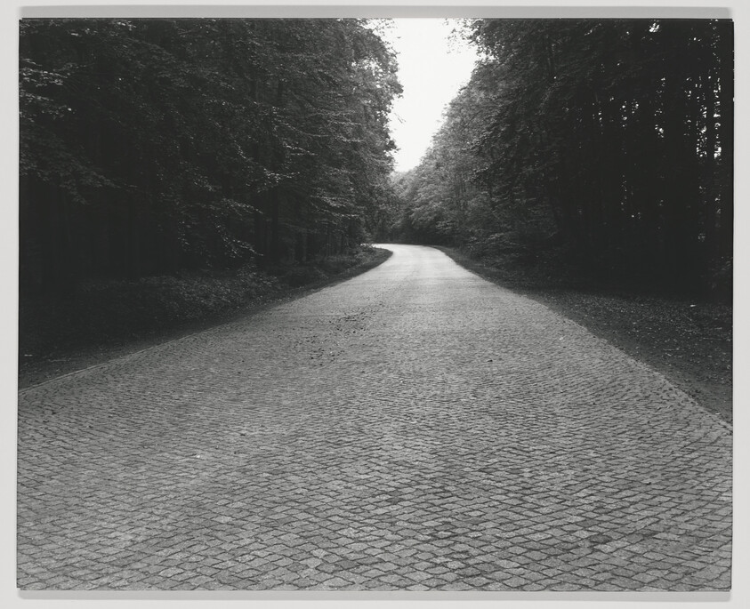 A black and white photograph of a cobblestone road winding through a dense forest with trees on both sides. The road disappears into the distance at a curve, and the canopy of the trees creates a shaded tunnel effect over the road.