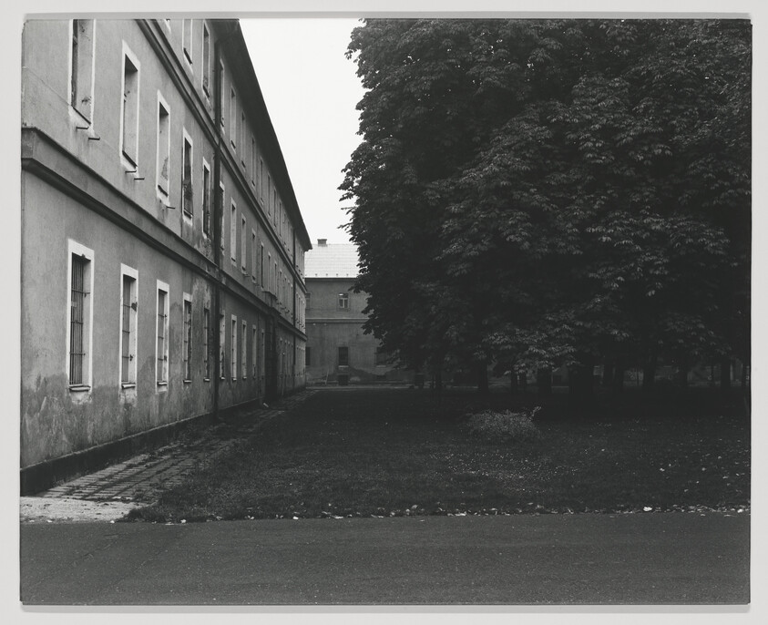 A black and white photograph depicting a weathered building with multiple windows on the left and a dense tree canopy on the right, with a narrow pathway leading towards a structure in the background. The scene appears to be an overcast day, and the ground is covered with fallen leaves, suggesting an autumnal setting.