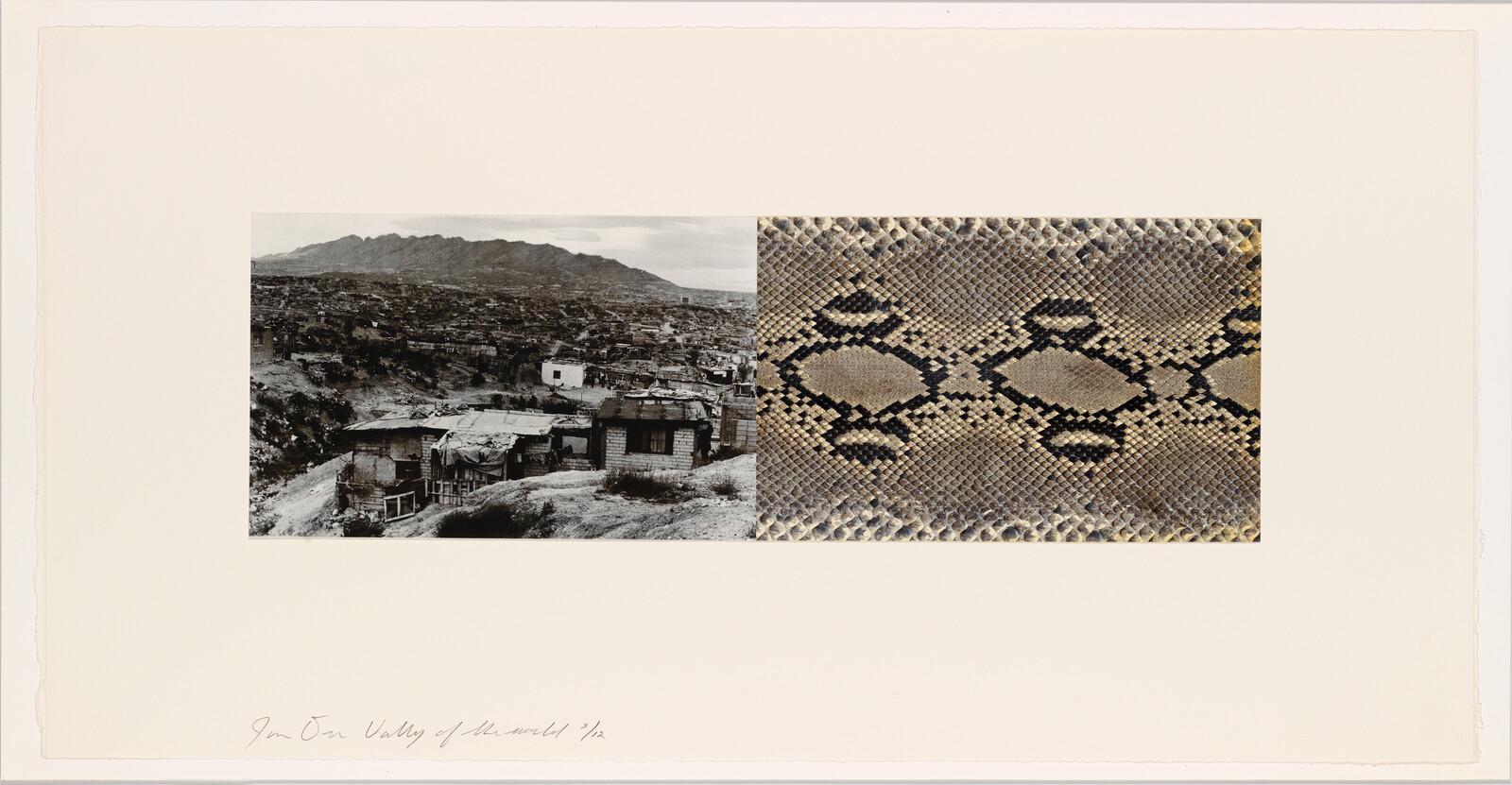 A composite image with two contrasting photographs. On the left, a black and white landscape photo shows a hillside settlement with houses and a backdrop of mountains and a body of water. On the right, a close-up of a textured surface with a snake-skin pattern in brown, black, and beige tones. Handwritten text at the bottom left of the image reads "In Our Valley of the World '82."