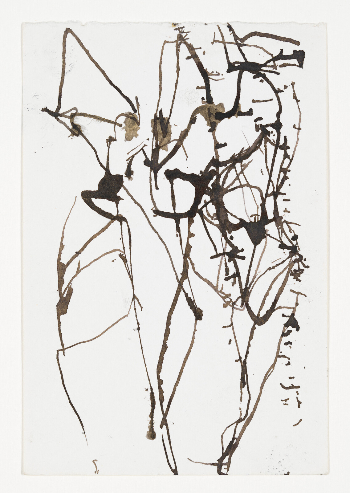 Thin dark ink lines form tangled, plantlike stems and loops on a white background.