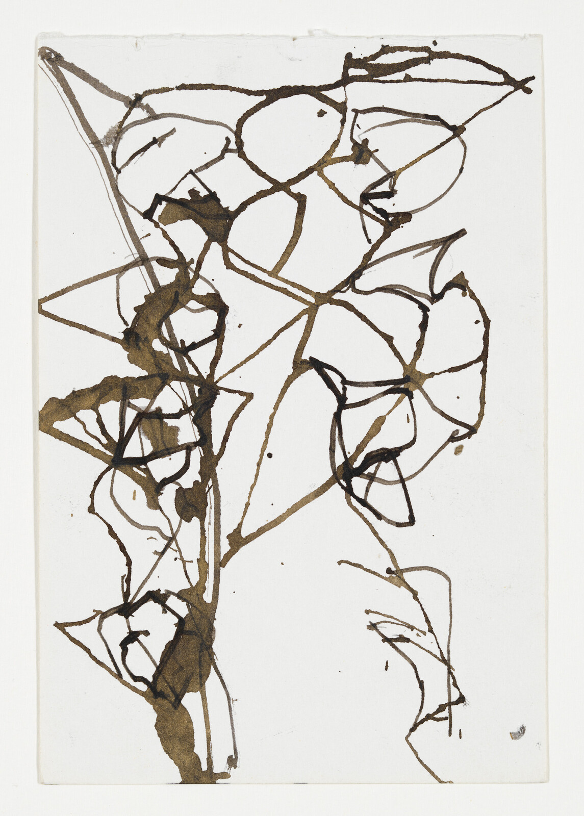 Brown ink lines form a loose vertical vine with abstract leaves and stems on white paper.