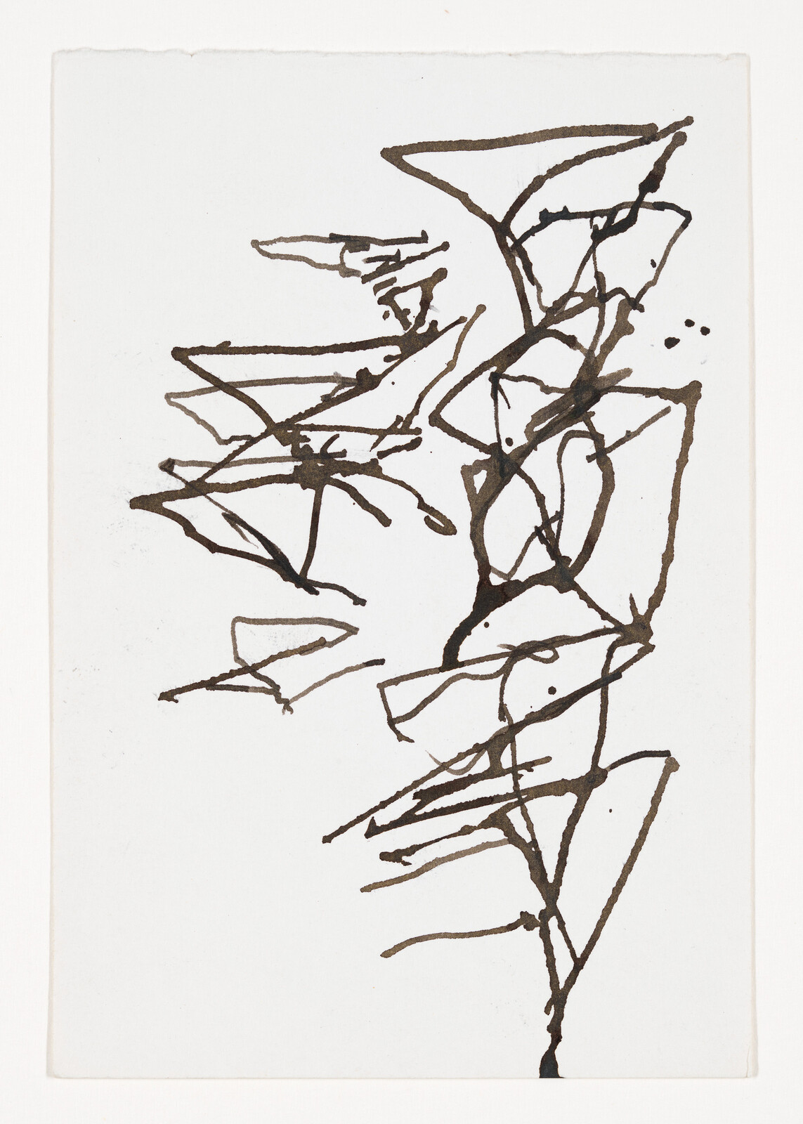 Black ink lines form a tall branching plant-like structure on a white background.