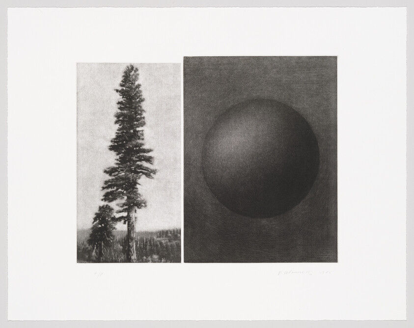 A tall lone pine tree stands beside a dark shaded sphere in a minimalist diptych.