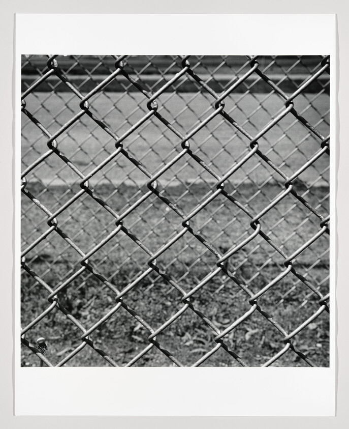 Close-up of a metal chain-link fence with grass and a road visible behind it.