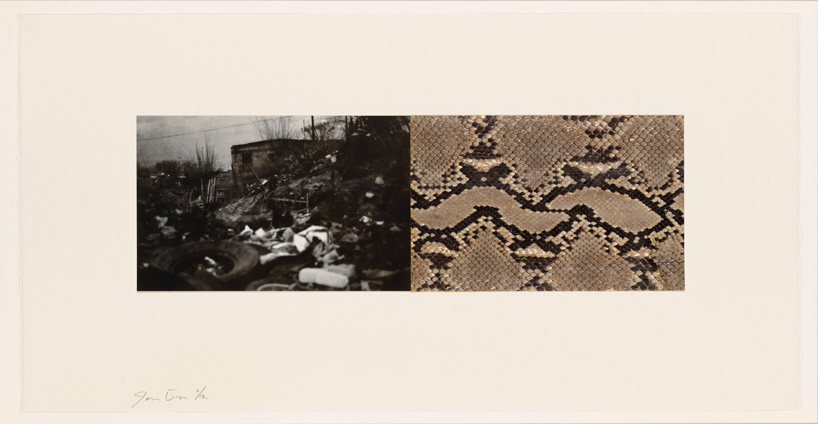 A photograph featuring two distinct sections; on the left, a black and white image of a cluttered, debris-filled outdoor area with a dilapidated structure in the background, and on the right, a close-up of a textured surface with a snake-skin pattern. The image is mounted on a white background with a signature on the bottom left corner.