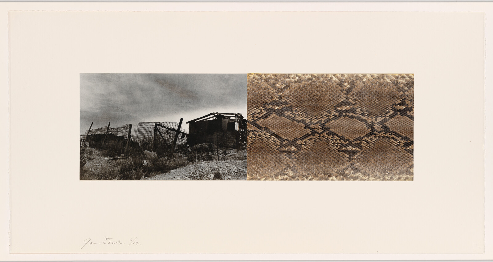 A collage featuring two contrasting images on a beige background. On the left, a black and white photograph depicts a dilapidated wooden structure with a collapsed fence under a cloudy sky. On the right, a close-up of a textured surface with a snake-skin pattern in brown and tan hues. Below the left image, there is a handwritten signature and a fraction, possibly indicating a limited edition print.