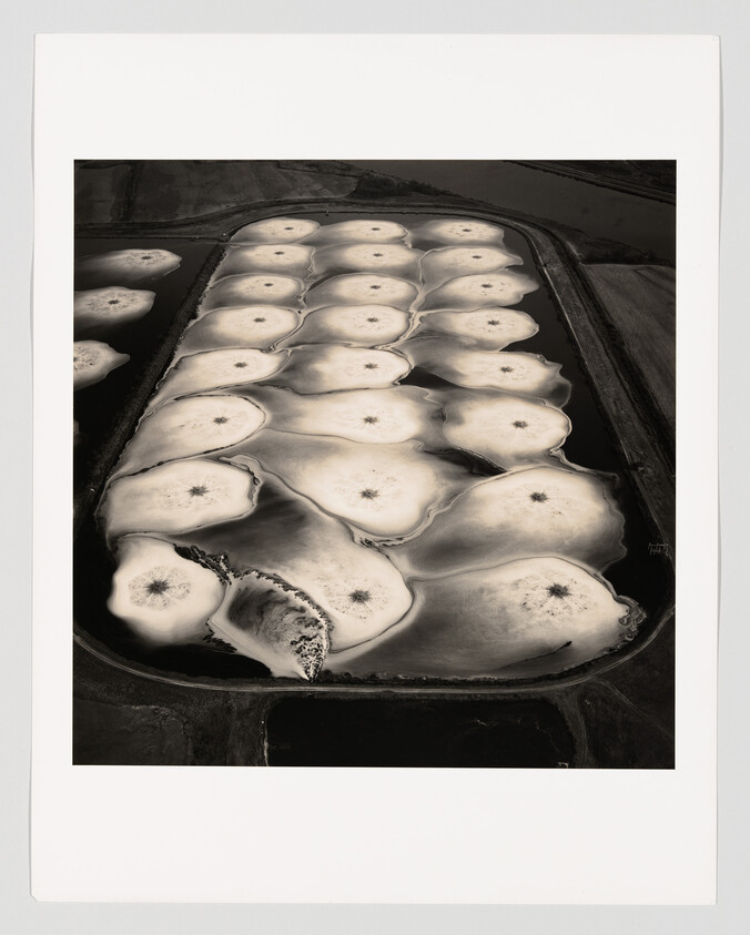 A black and white aerial photograph showing a series of irregularly shaped salt ponds surrounded by narrow pathways, with the textures and patterns resembling organic forms or cellular structures. The image is bordered by a white frame.