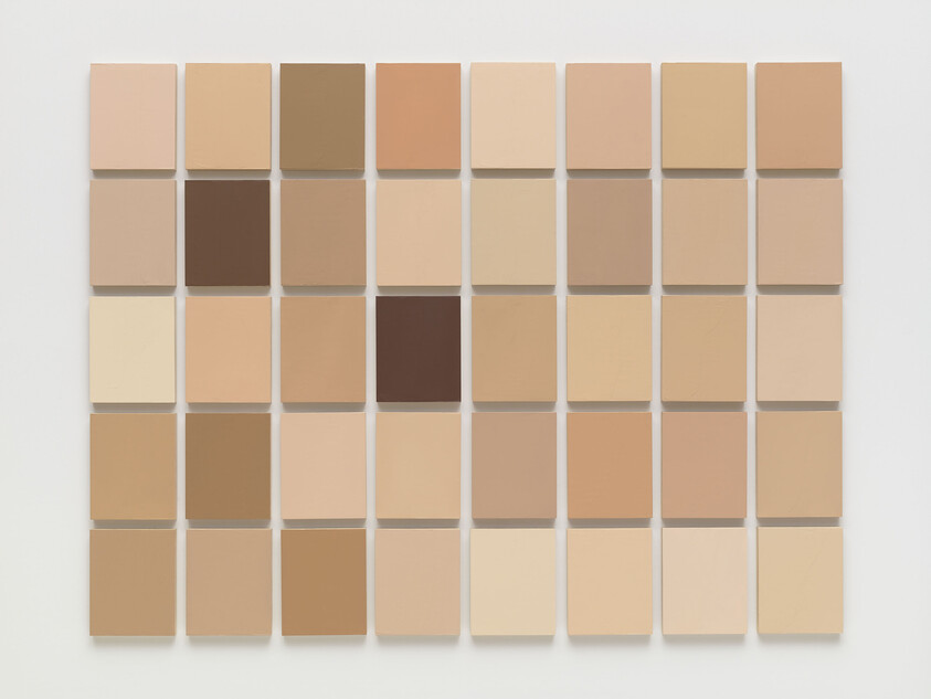 A grid of 49 square color swatches showing a range of skin tone shades.