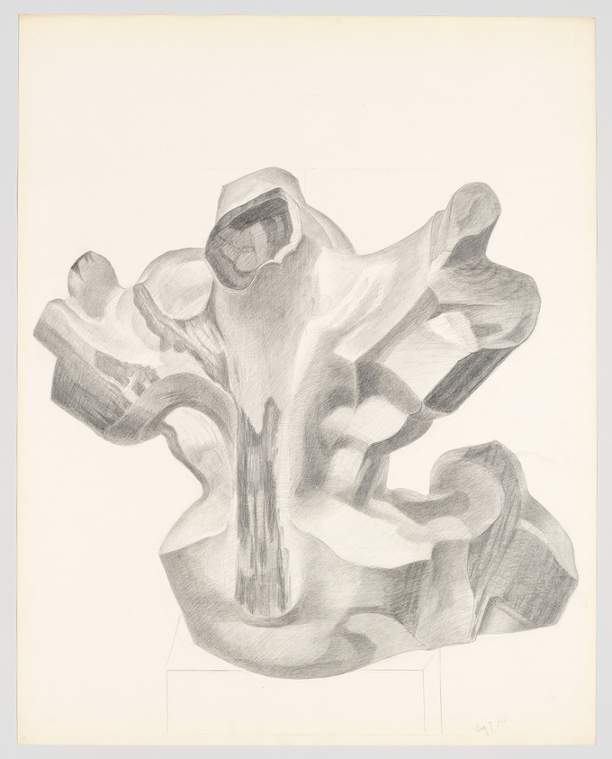 Pencil drawing of an abstract form with flowing, organic shapes resembling a bone or a piece of driftwood, with shaded areas creating depth and dimension on a white background.