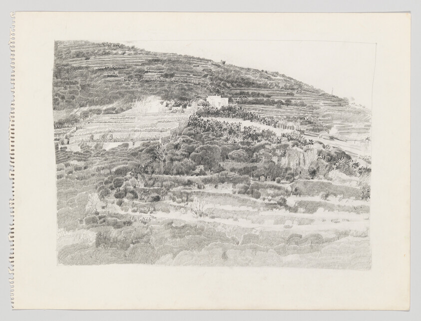 Pencil drawing of terraced hillside with dense shrubs and a small white house near the center.