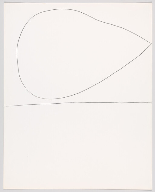 Large irregular teardrop shape outlined above a thin horizontal line on a blank background.