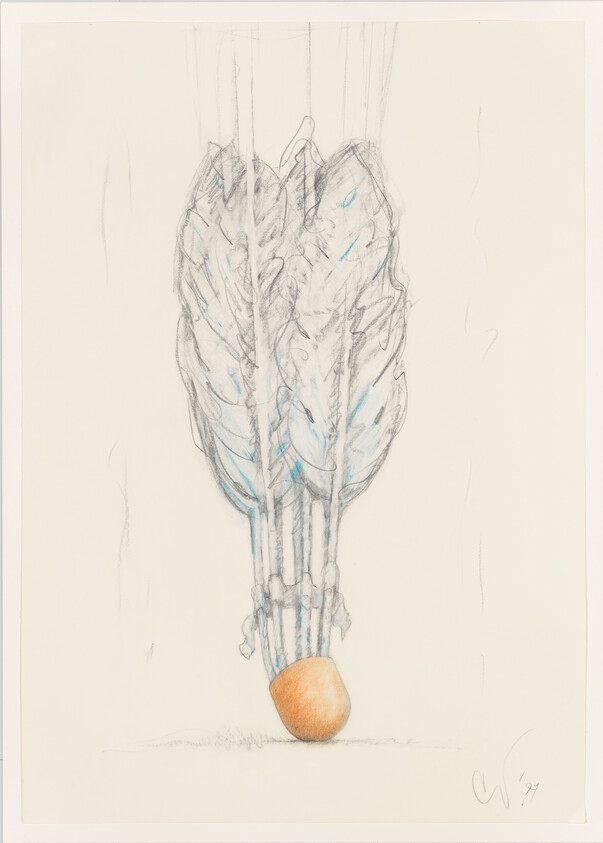 A sketch of feathers bound together above a small round egg-shaped object.