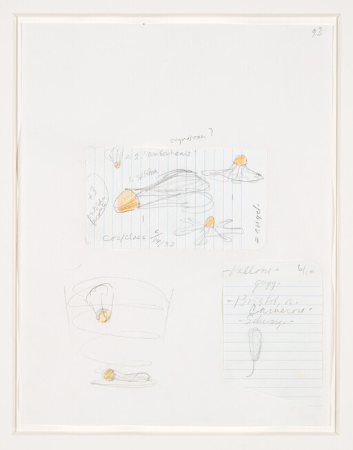 Sketches of small orange-tipped mushroom or flower shapes with handwritten notes on lined paper.