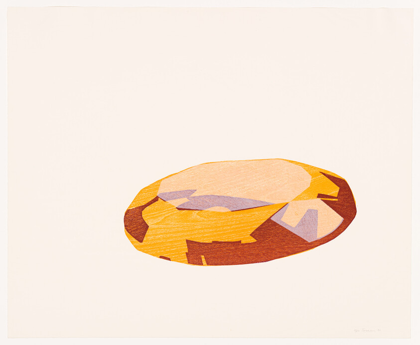 A flat orange and yellow rock with purple highlights sits centered on a pale background.