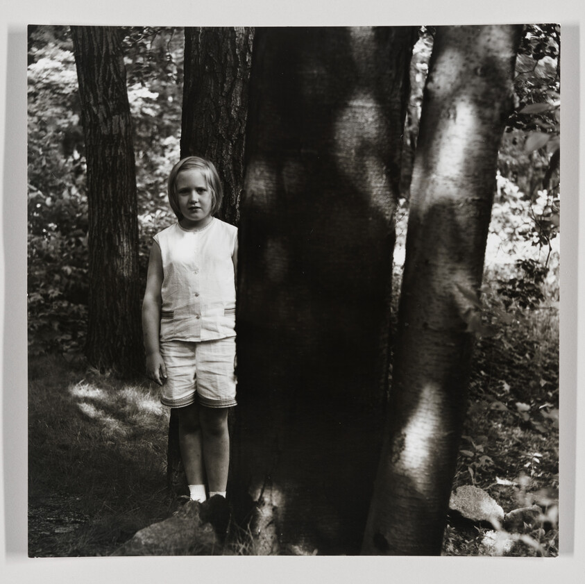 Young girl standing beside large tree trunks in a shaded forest, looking toward the camera.