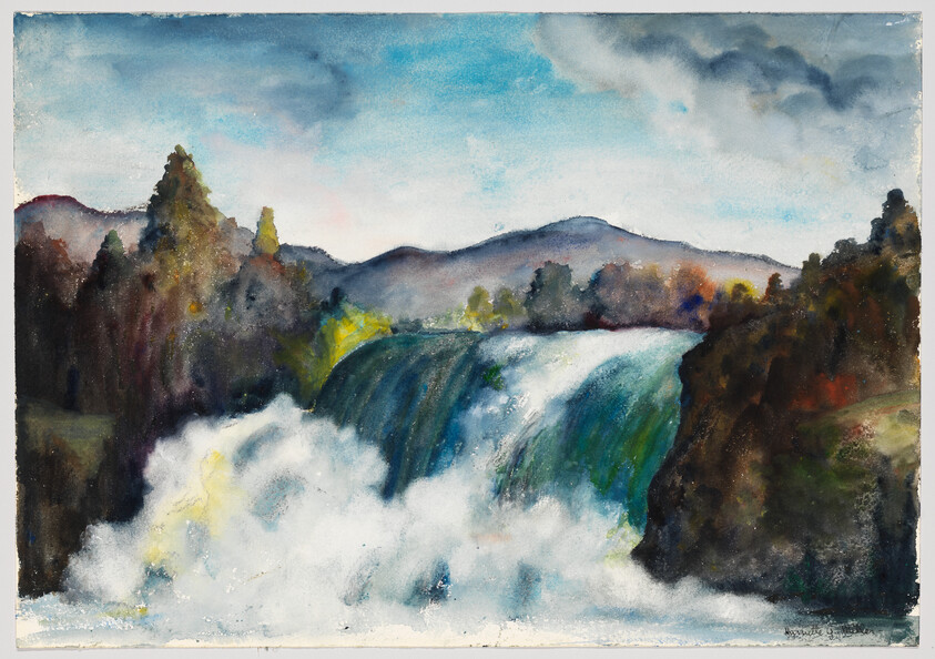 A large waterfall plunges between forested cliffs, sending mist and white spray into the river below.