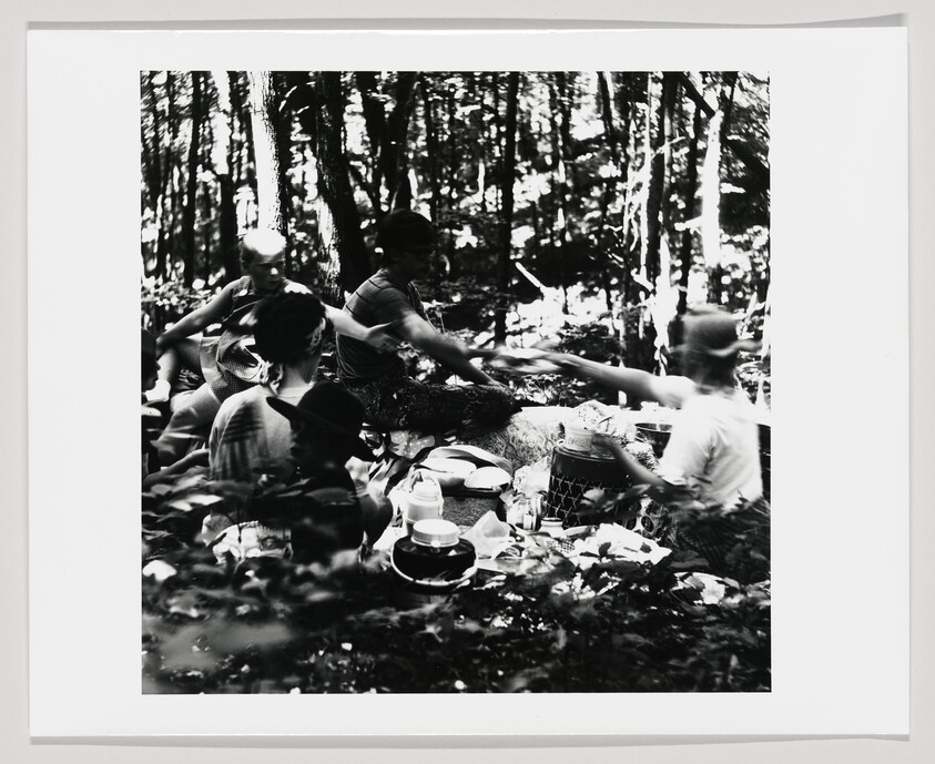 A group of people sit at a picnic in a shaded forest, passing food and containers between them.