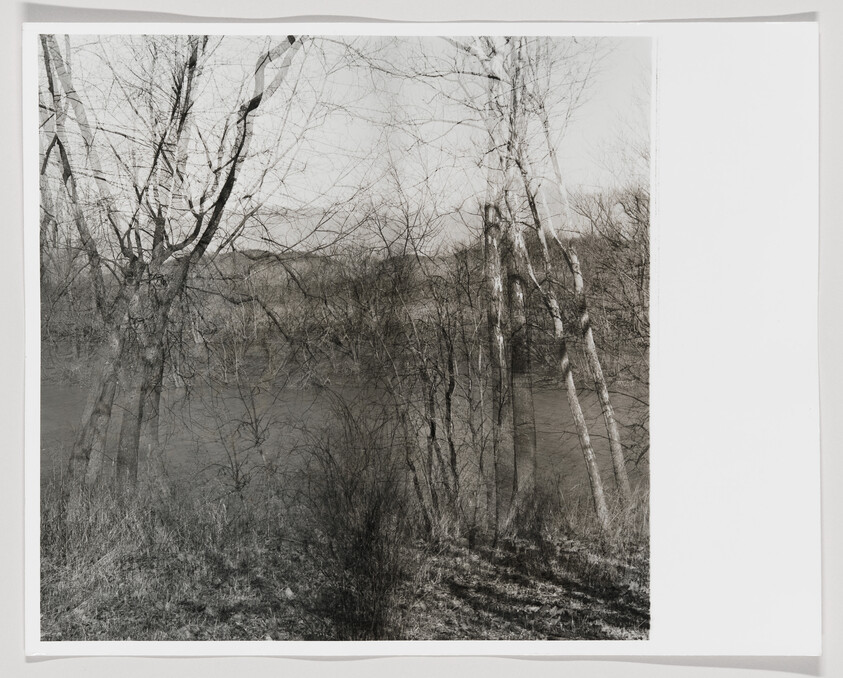 Bare birch and other leafless trees stand along a quiet riverside with grassy foreground.
