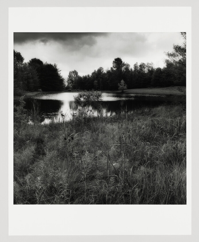 A quiet pond reflects cloudy sky surrounded by trees with tall grasses in the foreground.