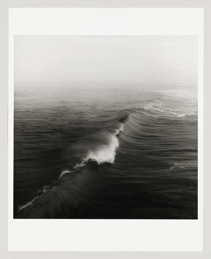 A single large wave curls and breaks across a calm, misty black-and-white ocean.