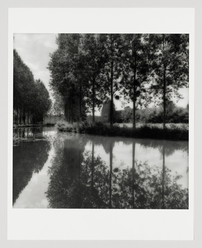 Tall trees line a calm river, their trunks and leaves mirrored clearly in the water.