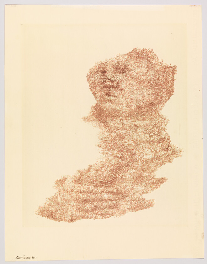 A brown, fur-like drawing forms a vague upright figure with a rounded head and torso.