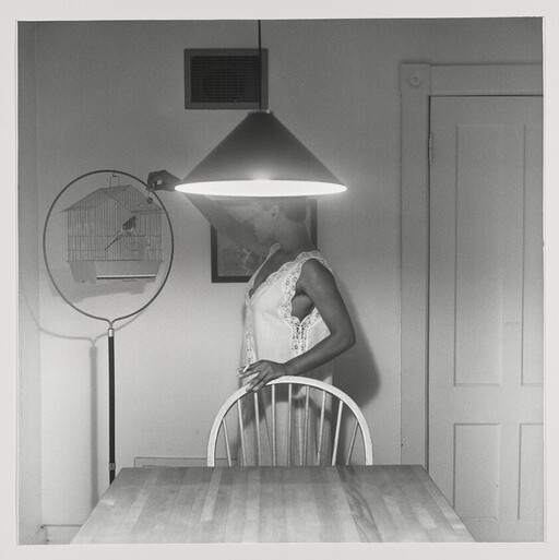 A woman in a slip stands at a table under a hanging lamp looking toward a birdcage.