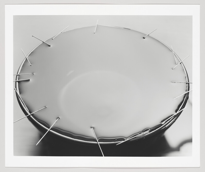 Round shallow dish filled with liquid with pins stuck around its rim pointing outward.