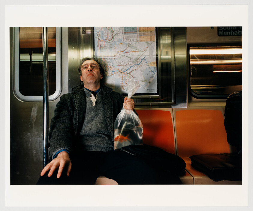 A man sits sprawled on a subway seat holding a clear plastic bag with a goldfish inside.